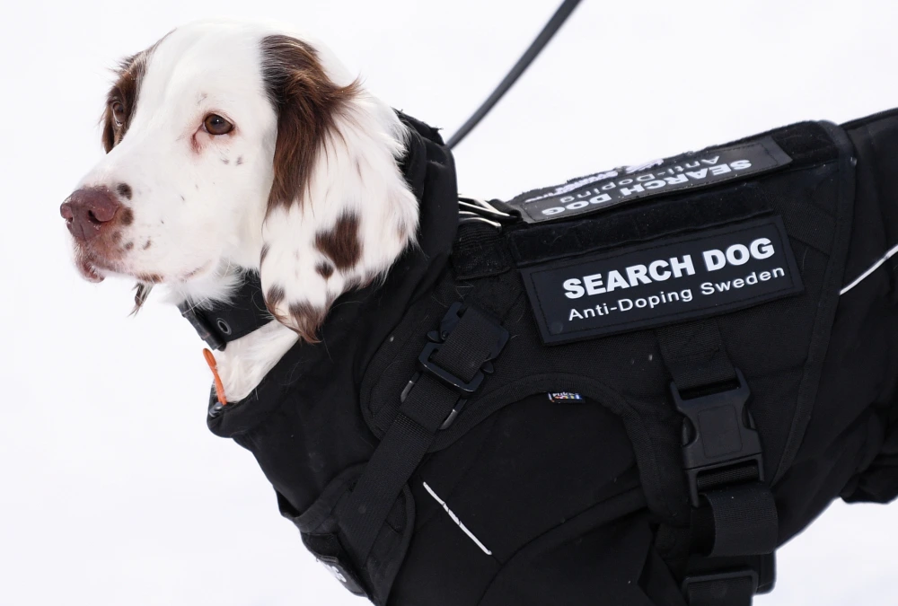 4. РИА Новости.webp