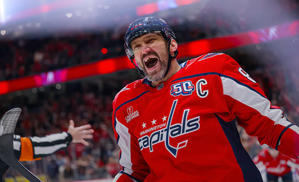 article-5-article-5article-5