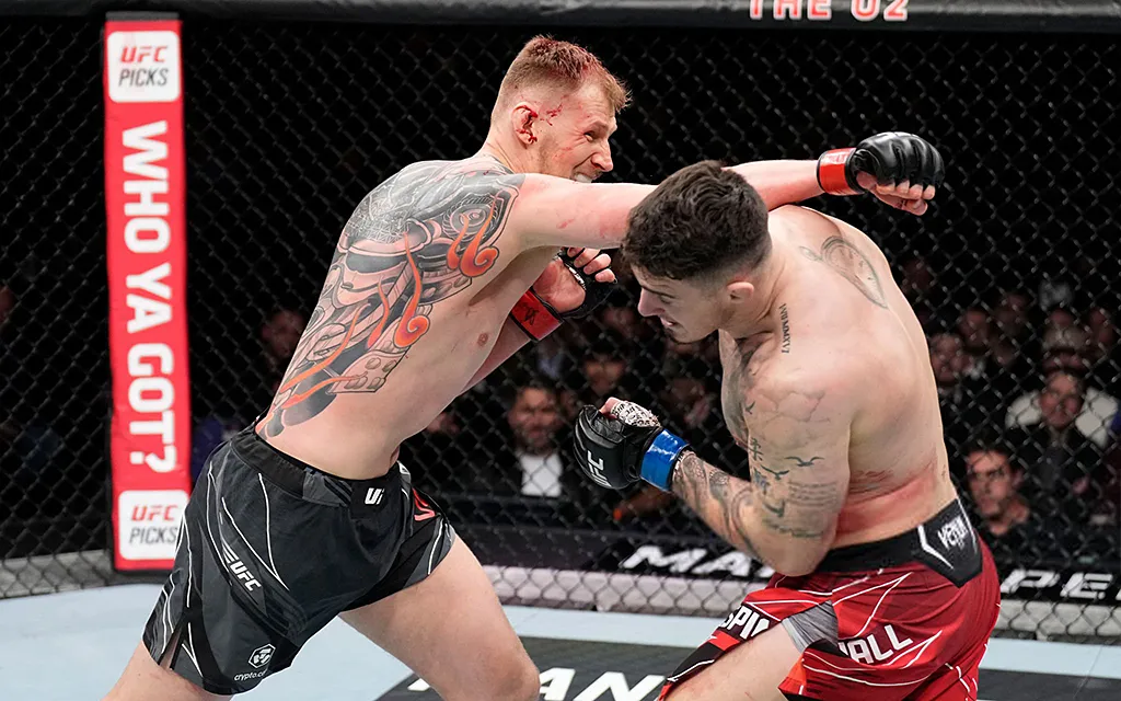Волков UFC.webp