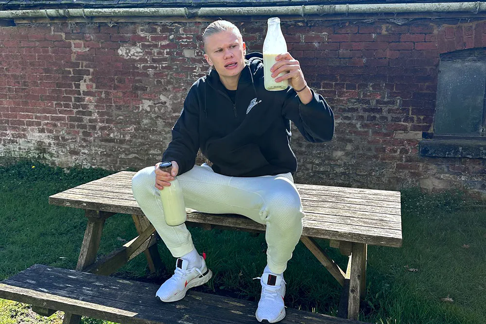 erling002.webp