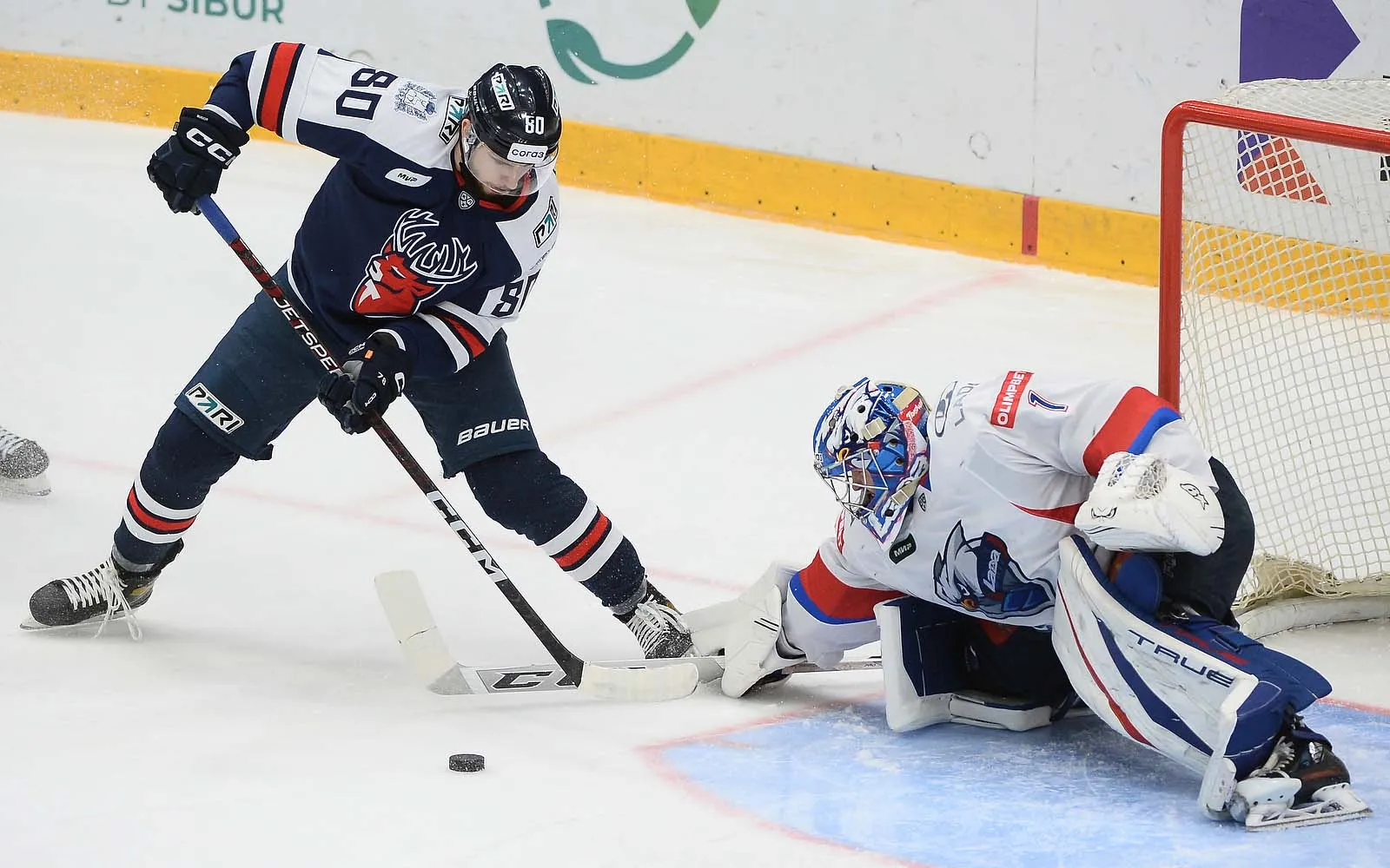 хк торпедо(хк торпедо).webp