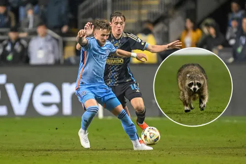 В МЛС зафиксировали рекорд, который не побьёт даже Месси. Его установил енот