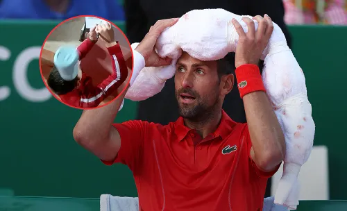 Автограф или жизнь. Фанат бутылкой разбил голову Новаку Джоковичу