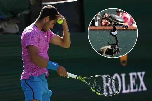 На Алькараса напали пчёлы. Четвертьфинал со Зверевым прерывали на два часа