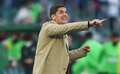 «Сочи» объявил имя нового главного тренера. Клуб идёт по стопам «Торпедо»